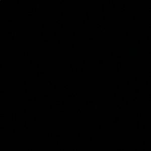 Meet your Posher, Jamia